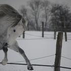 Schnee macht Spaß