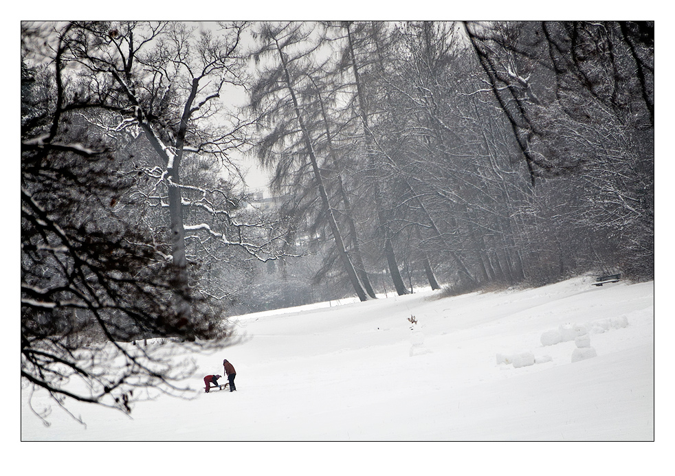 Schnee macht Spaß von Hans Palla