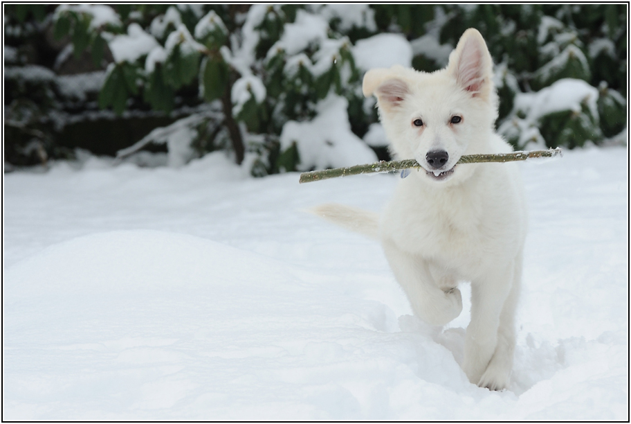 Schnee macht Spaß :-)))