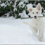 Schnee macht Spaß :-)))