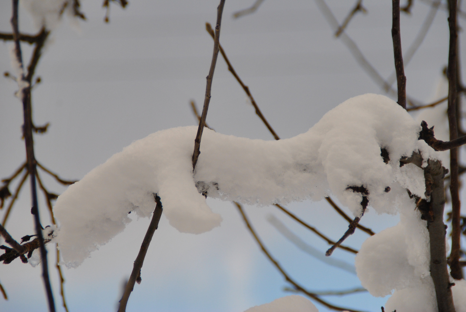 Schnee malt Figuren