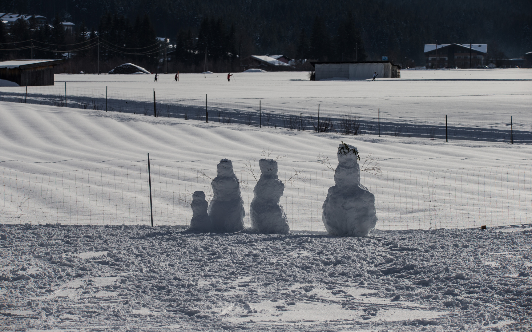 Schnee-Migranten....