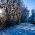 Schnee mit Sonne