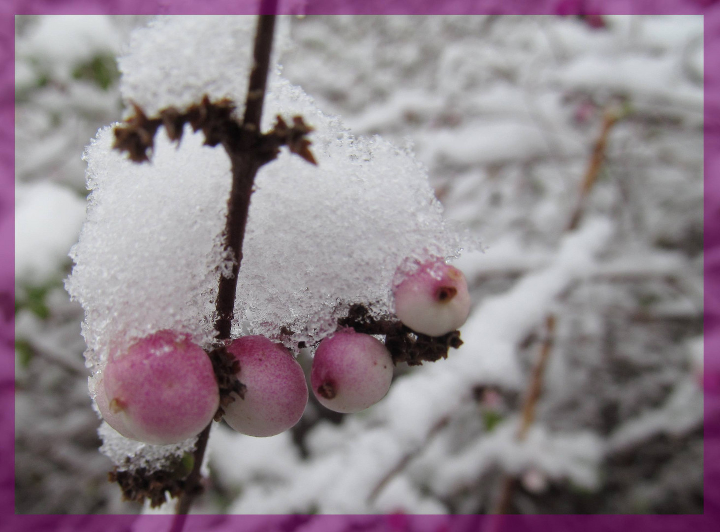 Schnee - Mütze