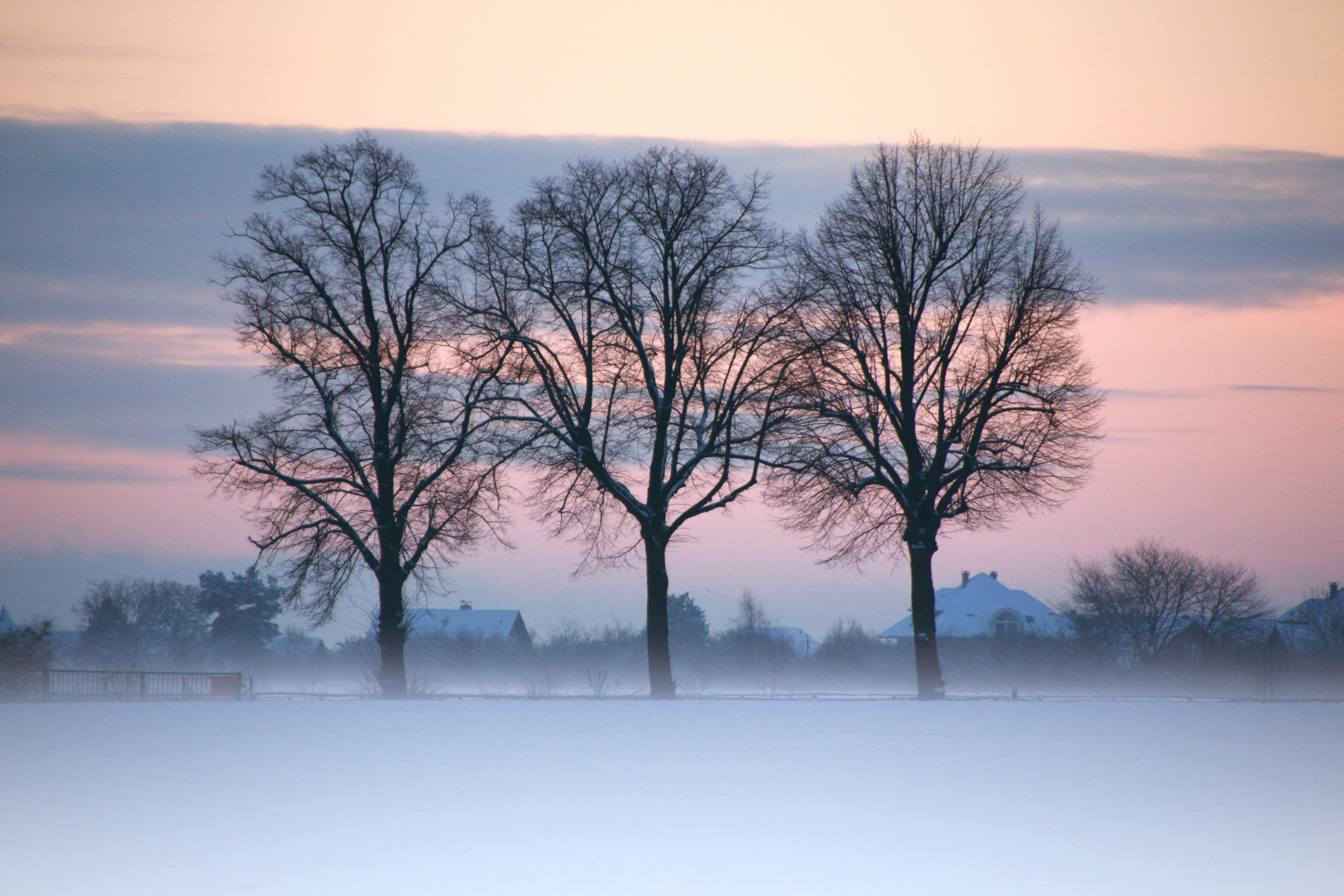 Schnee-Nebel 01