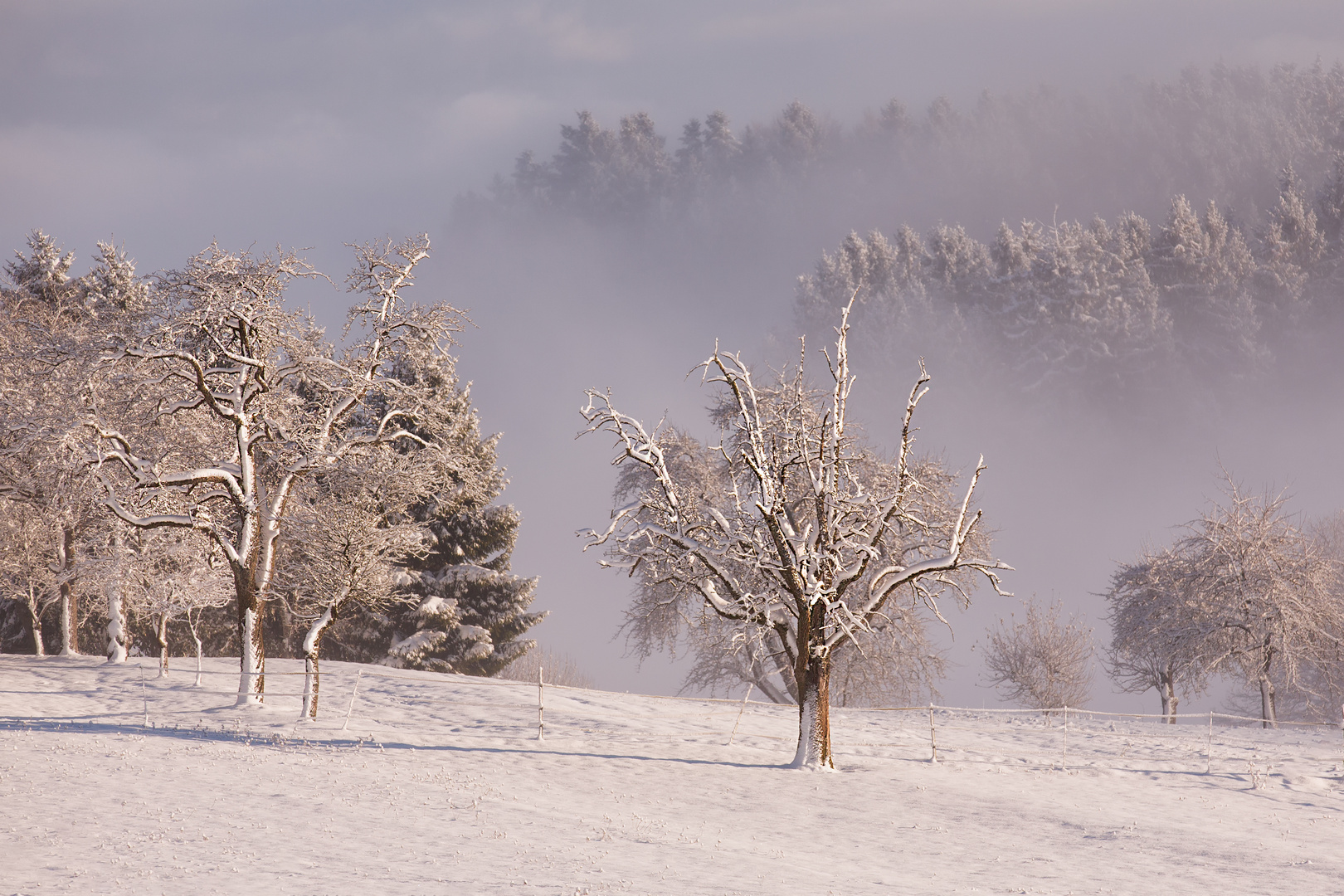 Schnee & Nebel