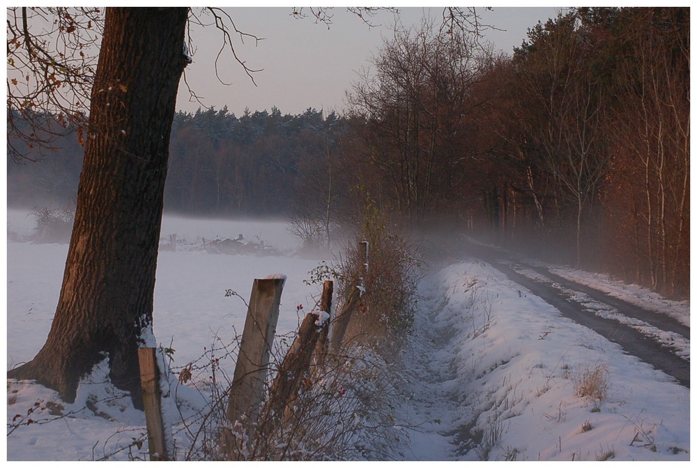 Schnee-Nebel II