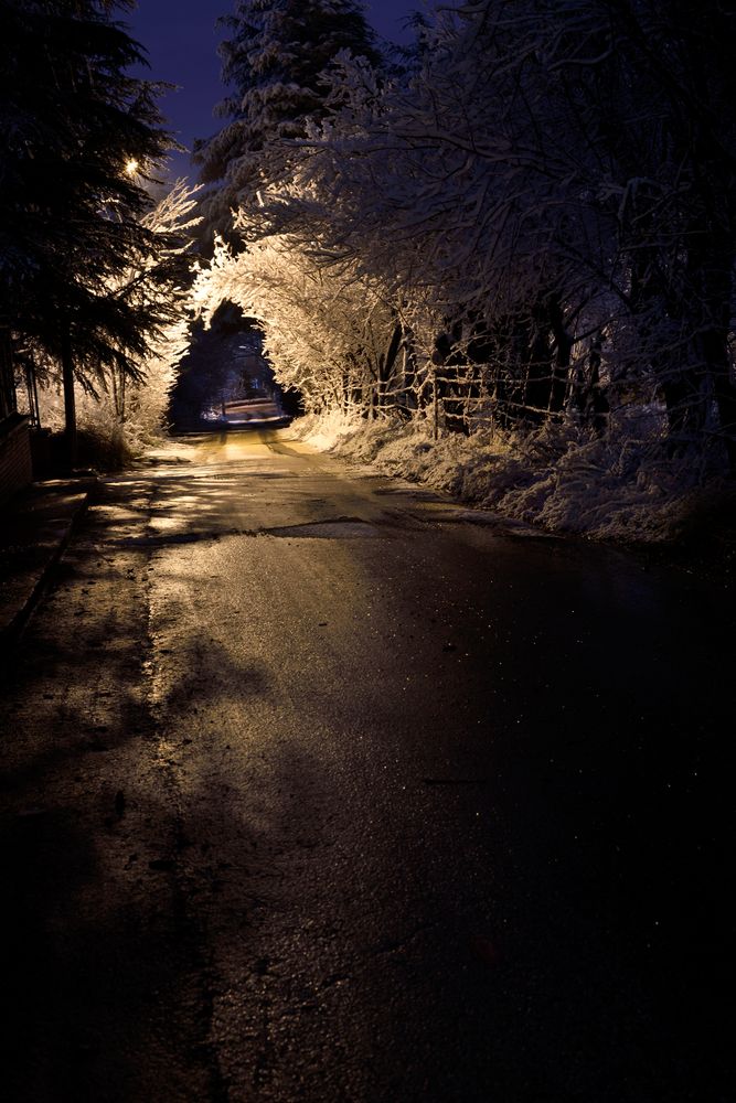 Schnee, ob er bis Weihnachten liegen bleibt?