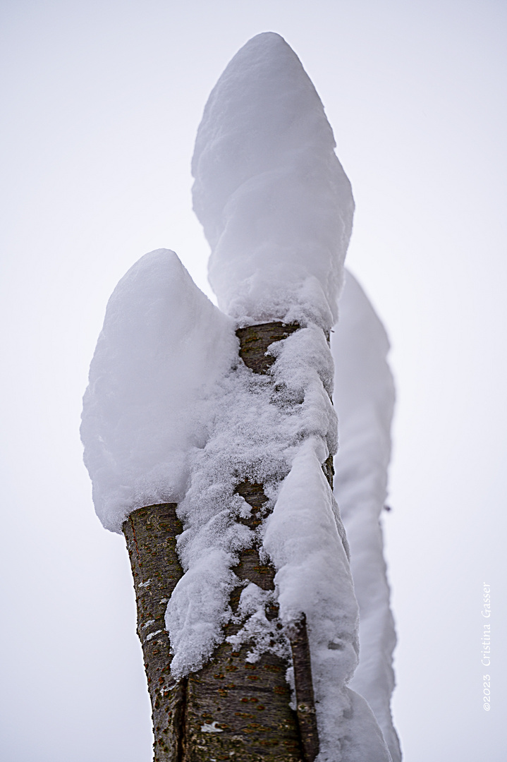 Schnee Obelisken