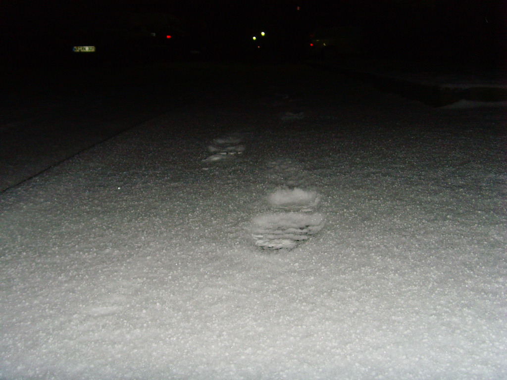 Schnee. oder footprints in snow