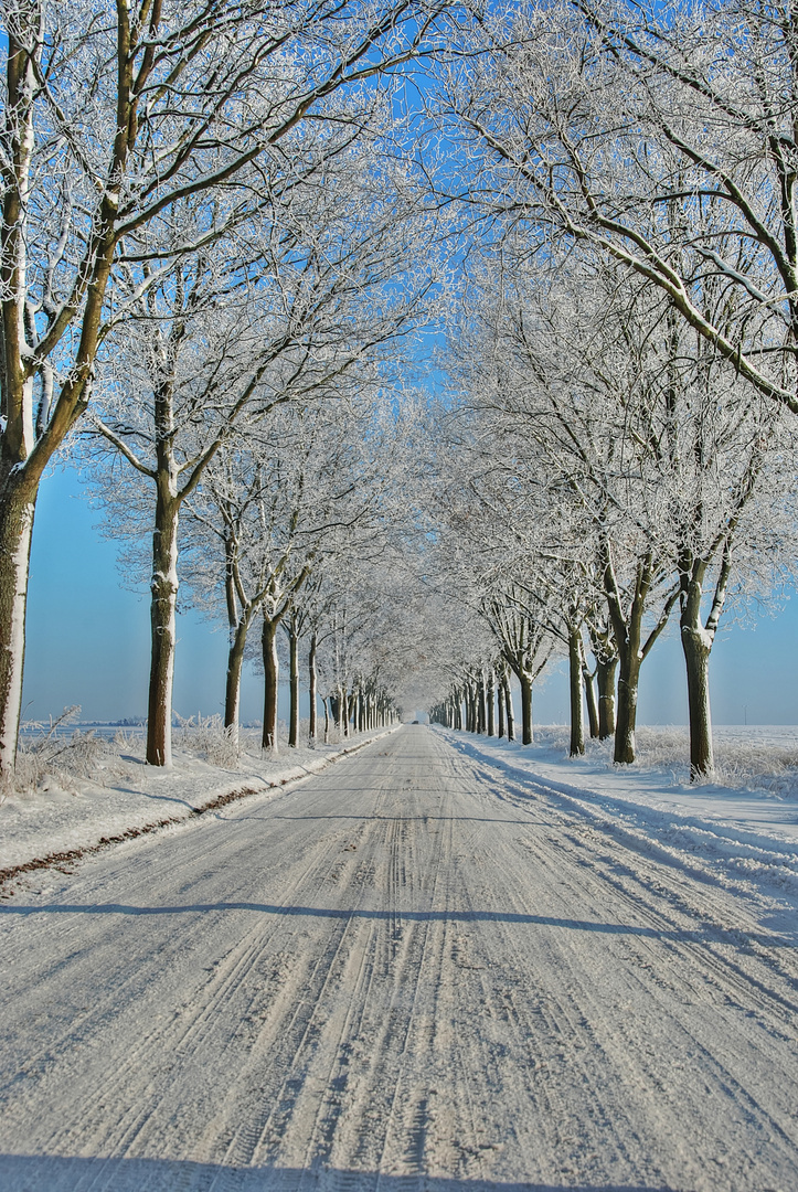 Schnee ohne ENDE