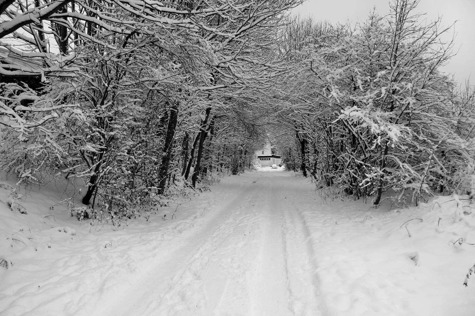 Schnee ohne Ende