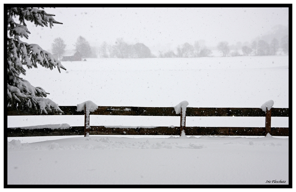 Schnee ohne Ende