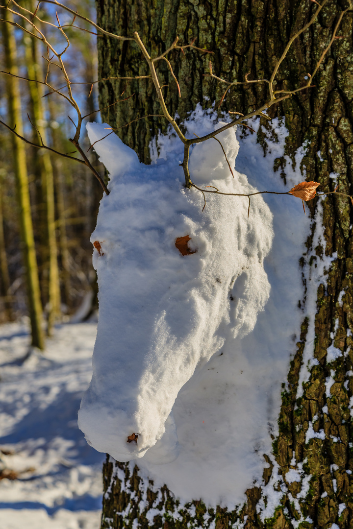 Schnee-Pferd 