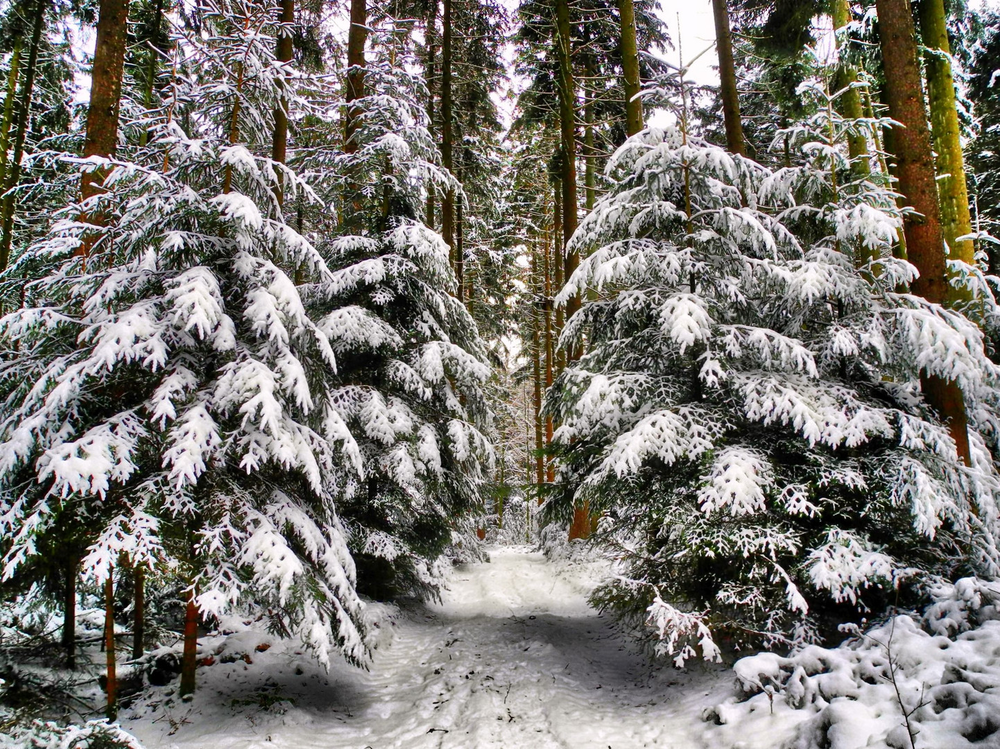 Schnee-Pforte