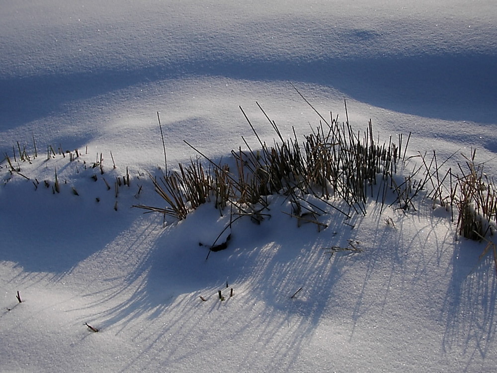 Schnee - Phantasie