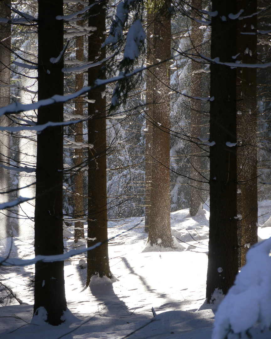 "Schnee-Regen"