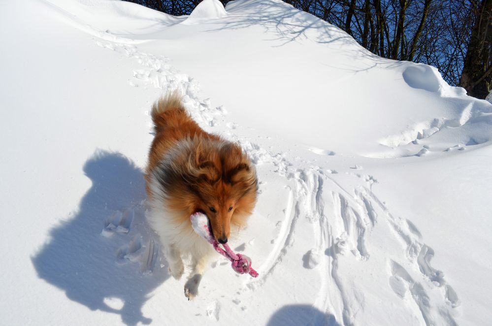 Schnee Rutschen