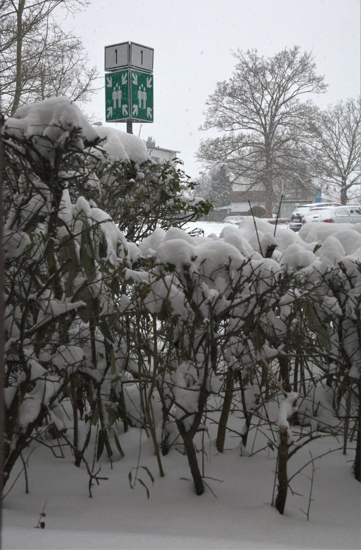 Schnee - Sammelplatz