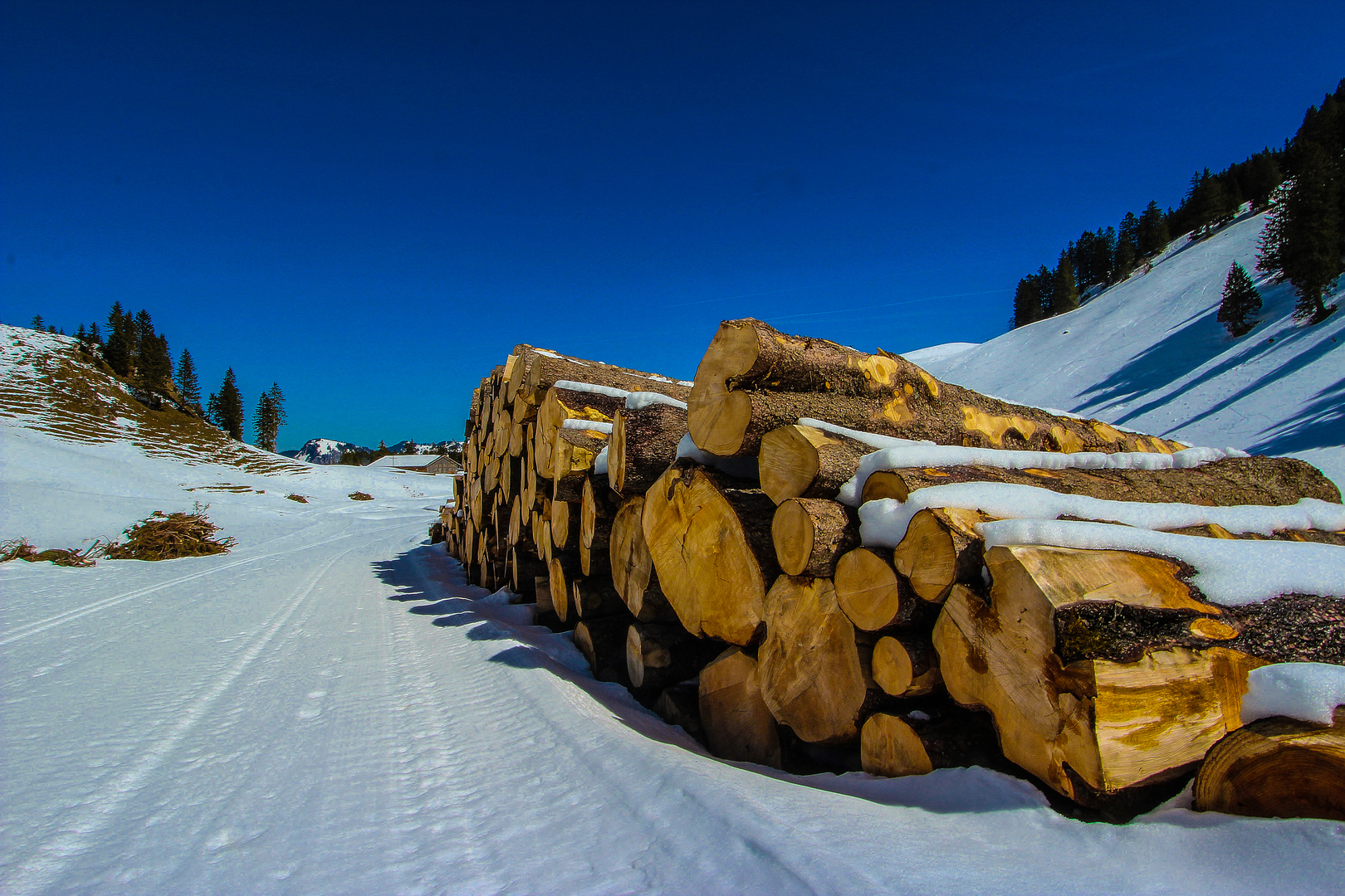 Schnee satt 