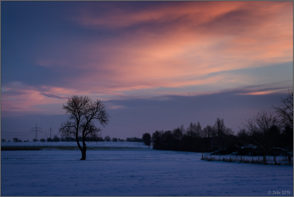 Schnee, schee