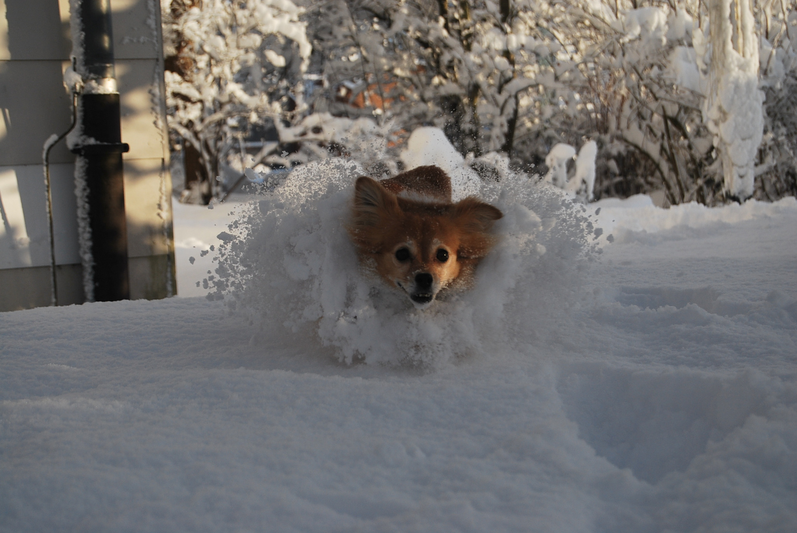 Schnee schippen