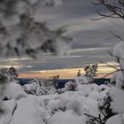 Schnee!!!! Schliffkopf im Nordschwarzwald