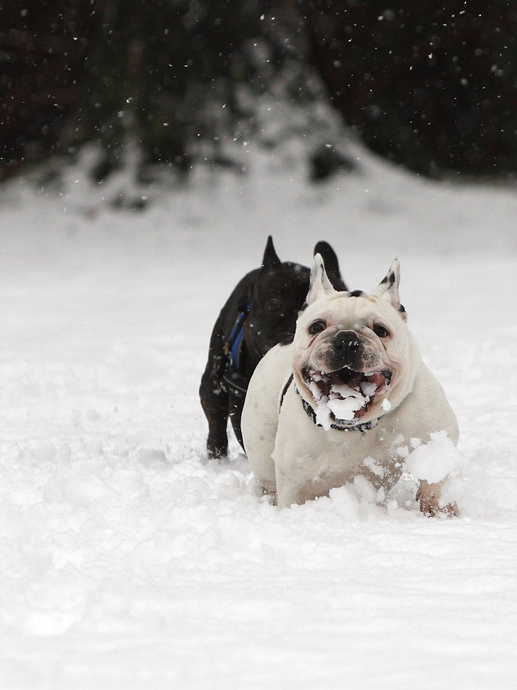 Schnee schmeckt bääääh