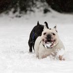 Schnee schmeckt bääääh