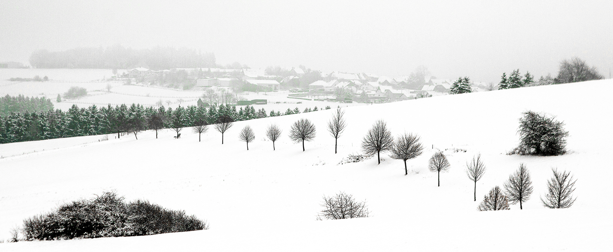 Schnee, Schnee, Schnee . .  .