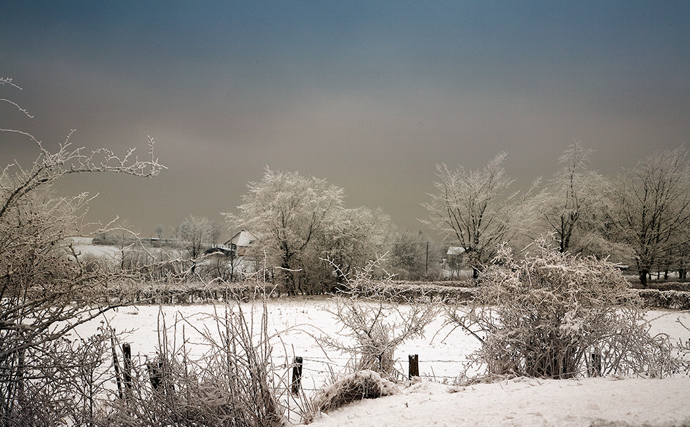 Schnee Schnee Schnee