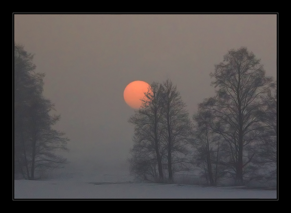 Schnee, Schnee, Schnee......