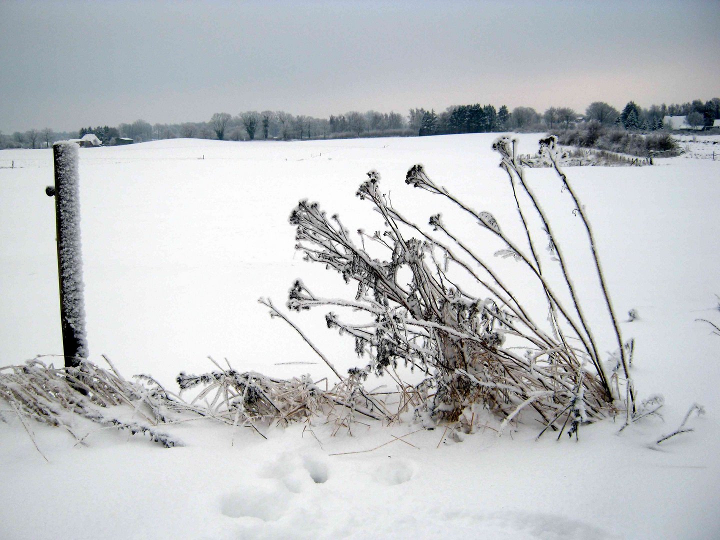 Schnee, Schnee, Schnee...