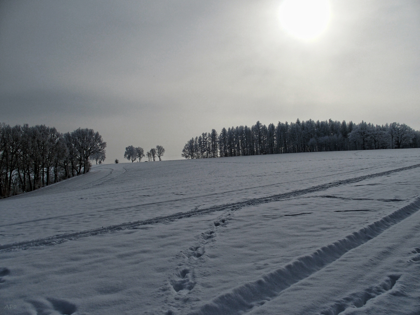 Schnee, Schnee, Schnee