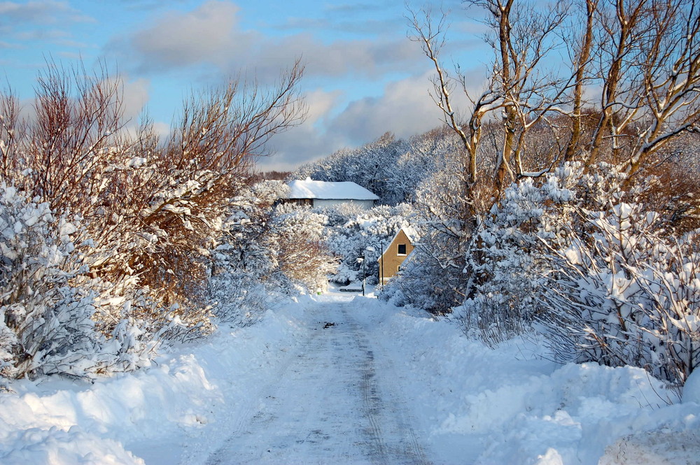 Schnee Schnee überall auf Hiddensee