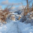 Schnee Schnee überall auf Hiddensee