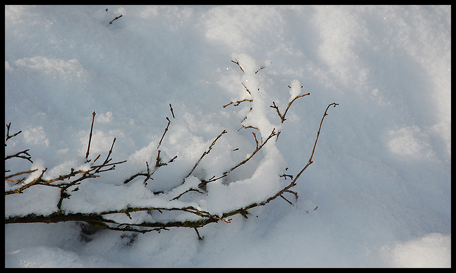 Schnee... Schnee.... und es schneit immer noch....