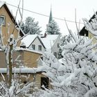 Schnee, Schnee und nochmal Schnee, der Frühling läßt sich lange Zeit