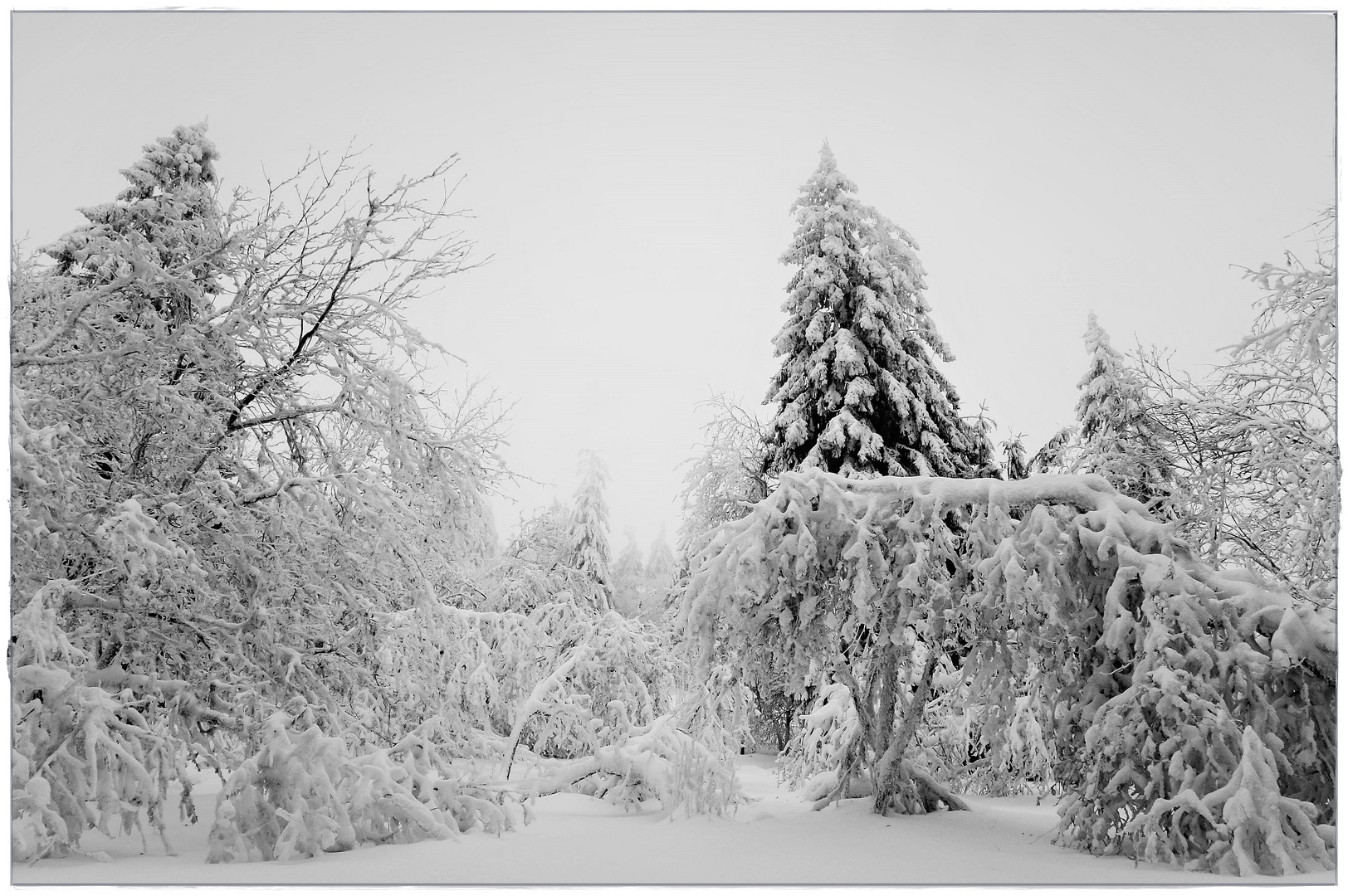 Schnee, Schnee und nochmals Schnee