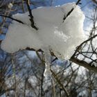 Schnee Schwarz ( Es kalt haben )