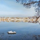 schnee see_jan2019_110