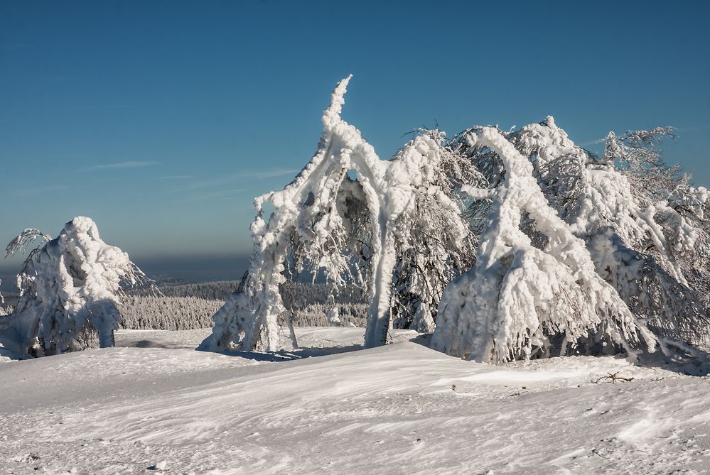 **SCHNEE SKULPTUREN**