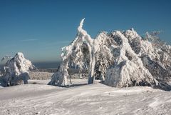 **SCHNEE SKULPTUREN**