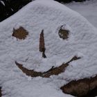 Schnee-Smile