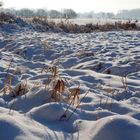 Schnee so weit das Auge reicht