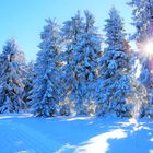 Schnee & Sonne