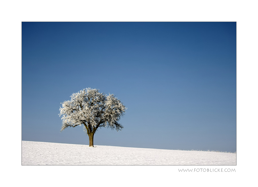 Schnee Sonne