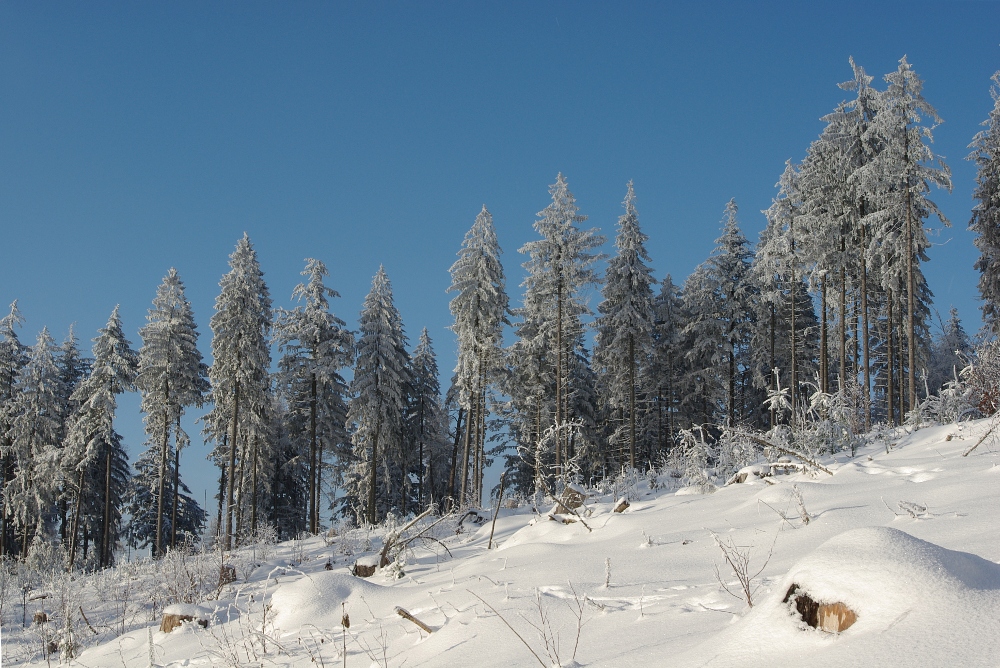 Schnee, Sonne und blauer Himmel