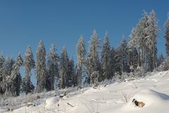 Schnee, Sonne und blauer Himmel