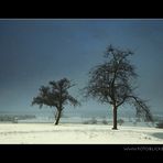 Schnee - Sonne - Wind